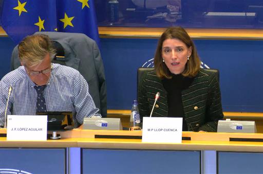 Pilar Llop, en la Comisión de Libertades Civiles, Justicia y Asuntos de Interior del Parlamento Europeo.