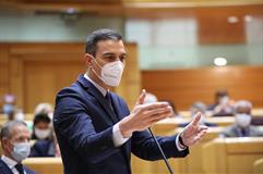 El presidente del Gobierno, Pedro Sánchez, responde a las preguntas de control desde su escaño en el Senado