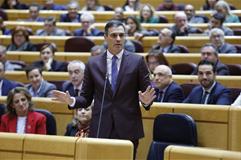 El presidente del Gobierno, Pedro Sánchez, durante la sesión de control en el Senado