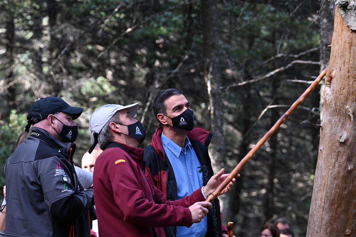 31/01/2022. Pedro Sánchez visita el Parque Nacional de la Sierra de las Nieves. El presidente del Gobierno, Pedro Sánchez, durante su visita...