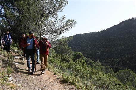 31/01/2022. Pedro Sánchez visita el Parque Nacional de la Sierra de las Nieves. El presidente del Gobierno, Pedro Sánchez, durante su visita...