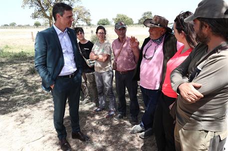 El presidente del Gobierno, Pedro Sánchez, durante su visita al Parque Nacional de Doñana
