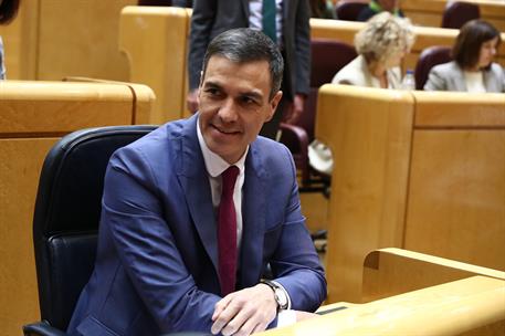 21/02/2023. Sánchez participa en la sesión de control en el Senado. El presidente del Gobierno, Pedro Sánchez, durante la sesión de control ...