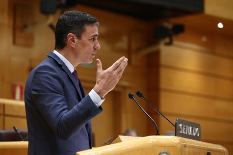 31/01/2023. Pedro Sánchez comparece en el Senado. El presidente del Gobierno, Pedro Sánchez, durante su comparecencia en el Senado para expl...