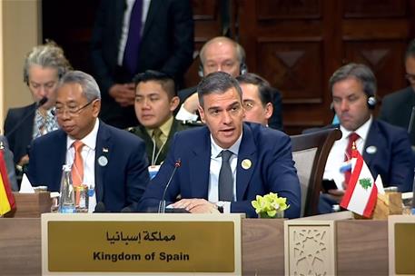 11/06/2024. Pedro Sánchez participa en la Conferencia Internacional sobre la Respuesta Humanitaria de Emergencia para Gaza. El presidente de...