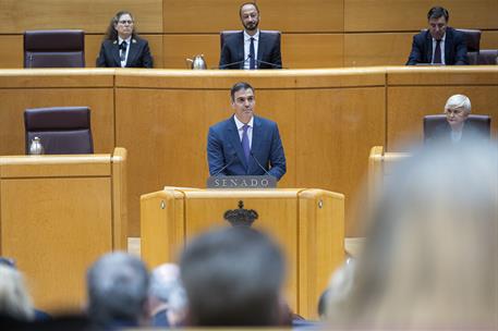 18/01/2024. Sánchez interviene en el pleno sobre la reforma del artículo 49 de la Constitución. El presidente del Gobierno, Pedro Sánchez, d...