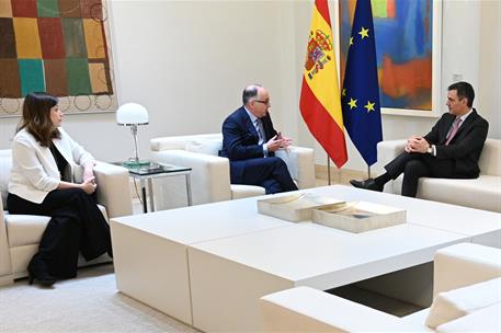 19/01/2024. Encuentro del presidente del Gobierno con el consejero delegado de International Airlines Group (IAG), Luis Gallego en Moncloa. ...