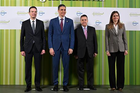 29/01/2025. Pedro S&#225;nchez: &quot;Crecemos m&#225;s que nadie y crecemos m&#225;s verde que nadie&quot;. Foto de familia en la III edici&#243;n del D&#237;a del Hidr&#243;geno de Enag&#225;s.