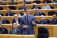 Pedro Sánchez durante su intervención en la sesión de control al Gobierno celebrada en el Senado