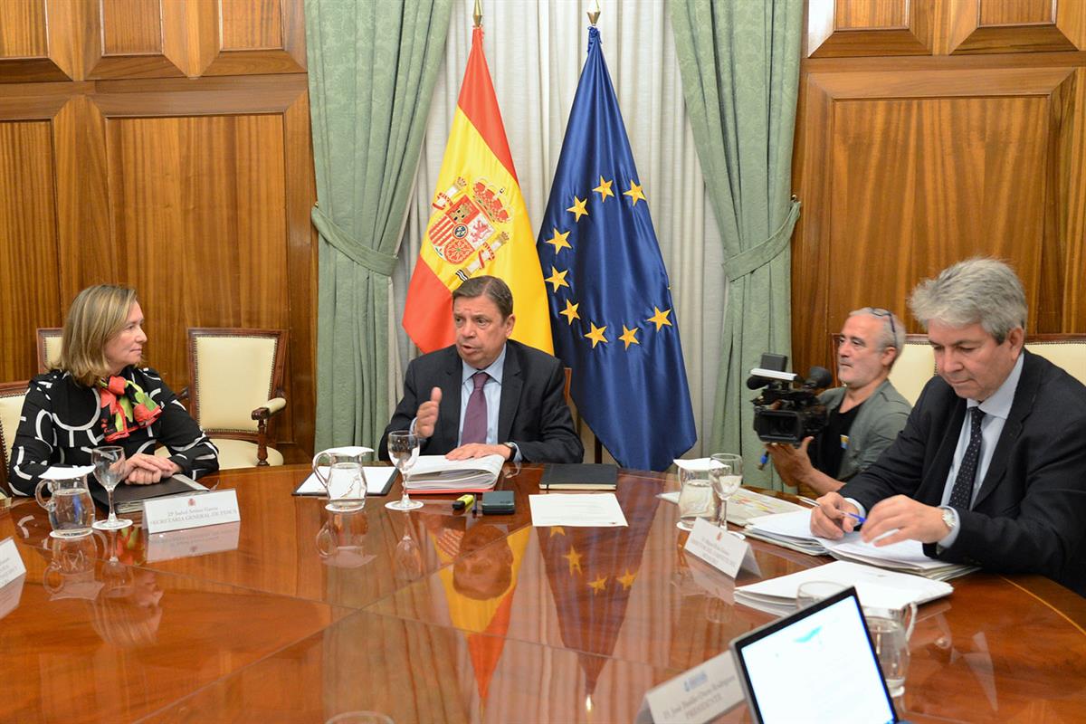 El ministro de Agricultura, Pesca y Alimentación, Luis Planas, durante su reunión