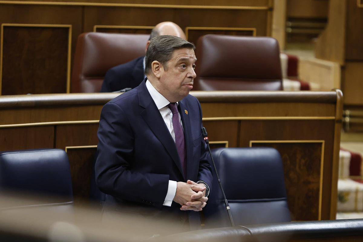 Luis Planas interviene en el Congreso de los Diputados.