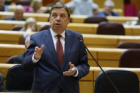 El ministro de Agricultura, Pesca y Alimentación, Luis Planas, durante su intervención en el Senado