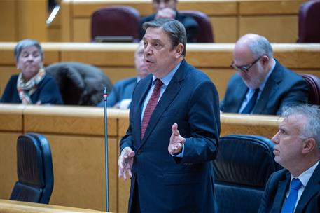 El ministro de Agricultura, Pesca y Alimentación, Luis Planas, durante su comparecencia en el Senado.