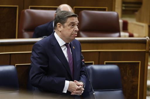 El ministro de Agricultura, Pesca y Alimentación, Luis Planas, durante su intervención en el pleno del Congreso de los Diputados