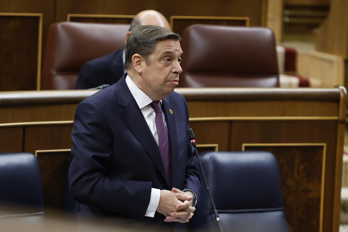 El ministro de Agricultura, Pesca y Alimentación, Luis Planas, durante su intervención en el pleno del Congreso de los Diputados