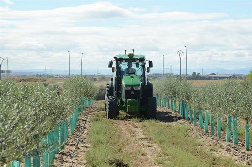 Tractor trabajando en explotación agrícola