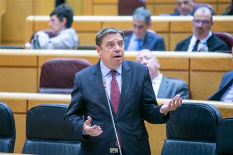 El ministro de Agricultura, Pesca y Alimentación, Luis Planas, en la intervención en el Senado.