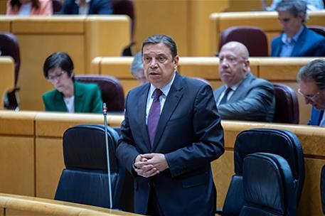 El ministro de Agricultura, Pesca y Alimentación, Luis Planas, durante su intervención