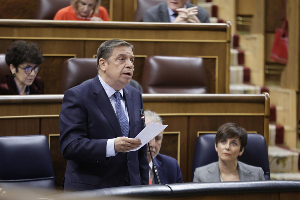 El ministro de Agricultura, Pesca y Alimentación, Luis Planas, interviene en la sesión de control del Gobierno.