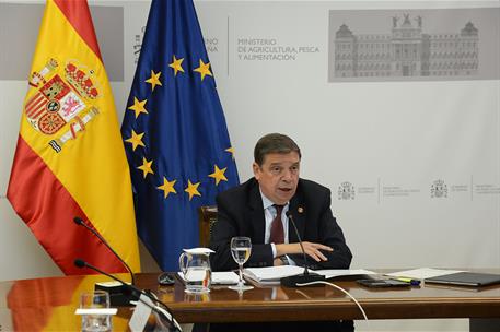 El ministro de Agricultura, Pesca y Alimentación, Luis Planas durante la reunión de los consejos consultivos de política agraria