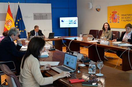 El ministro de Agricultura, Pesca y Alimentación, Luis Planas, en la Conferencia Sectorial de Agricultura