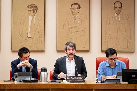 El ministro de Cultura, Ernest Urtasun, durante su comparecencia en el Congreso
