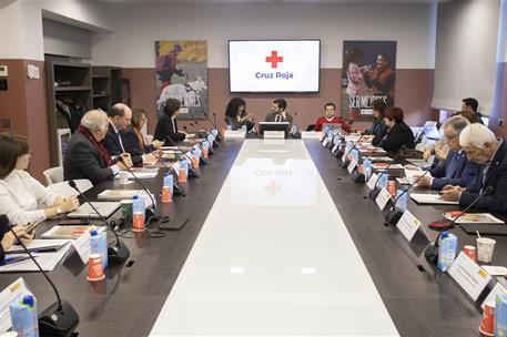 El ministro Pablo Bustinduy participa en el Pleno del Consejo de Protección de la Cruz Roja