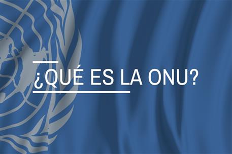 ¿Qué es la ONU?