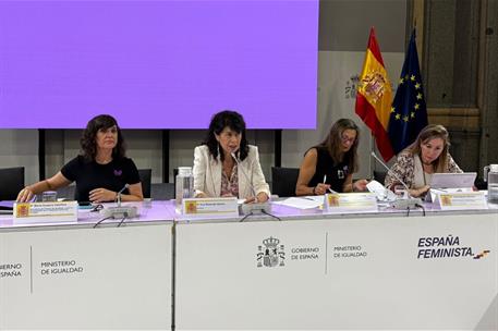 Ana Redondo durante una reunión