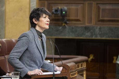 La ministra de Inclusión, Seguridad Social y Migraciones, Elma Saiz, en el Congreso de los Diputados