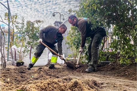Personal de jardinería trabajando