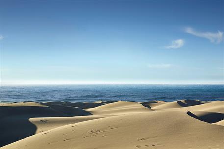 4/03/2025. Dunes of Maspalomas beach in Gran Canaria. Dunes of Maspalomas beach in Gran Canaria