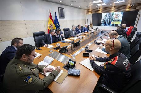 El ministro del Interior, Fernando Grande-Marlaska, durante la reunión