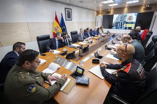 El ministro del Interior, Fernando Grande-Marlaska, durante la reunión