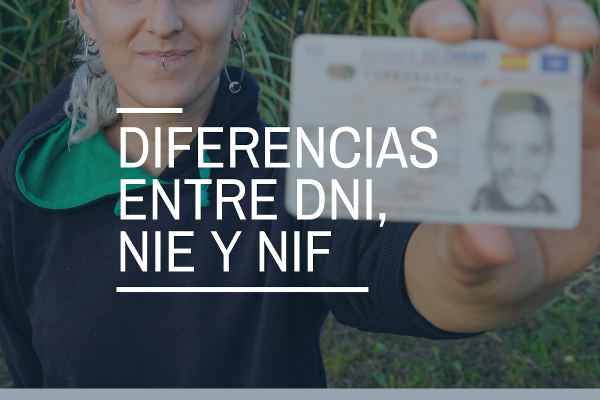 Diferencias entre DNI, NIE y NIF: ¿qué son y cómo obtenerlos?