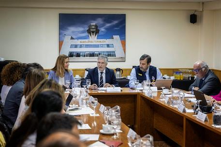 El ministro de Interior, Fernando Grande-Marlaska, durante la reunión del Comité Estatal de Coordinación.