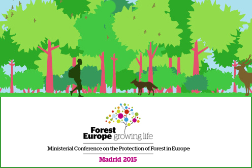 Forest Europe