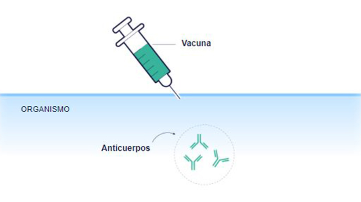 Infografía de la administración de una vacuna
