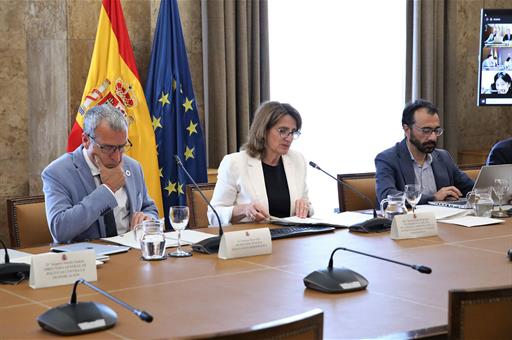 La Vicepresidenta y Ministra para la Transición Ecológica y el Reto Demográfico, Teresa Ribera, preside la Conferencia Sectorial