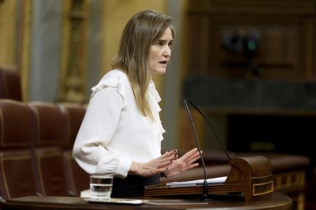 La vicepresidenta tercera y ministra para la Transición Ecológica y el Reto Demográfico, Sara Aagesen, interviene en el Congreso