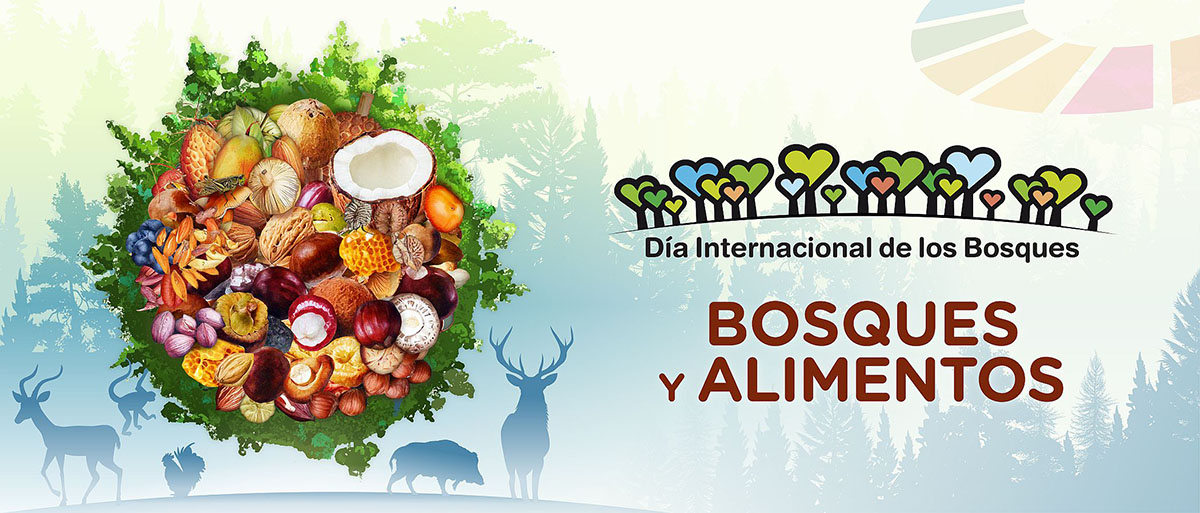 Día Internacional de los bosques. Bosques y alimentos