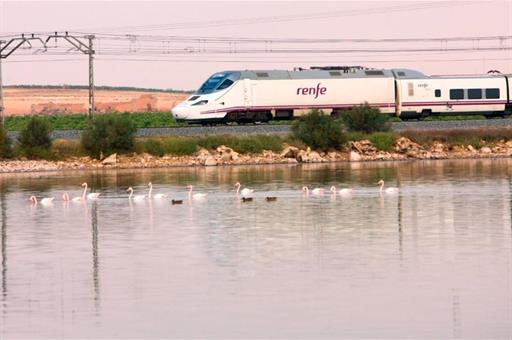 Tren de Renfe circulando